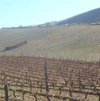 /album/cerat/a3-jpg1/