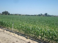 /album/avalia%c3%a7%c3%b5es-rusticas/car-jpg/