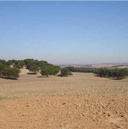 Avaliações Rústicas